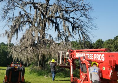 20200805 095133 - Barone's Tree Pros