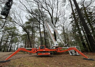 421593117 927361412551377 8687820387496669096 n 2 - Barone's Tree Pros