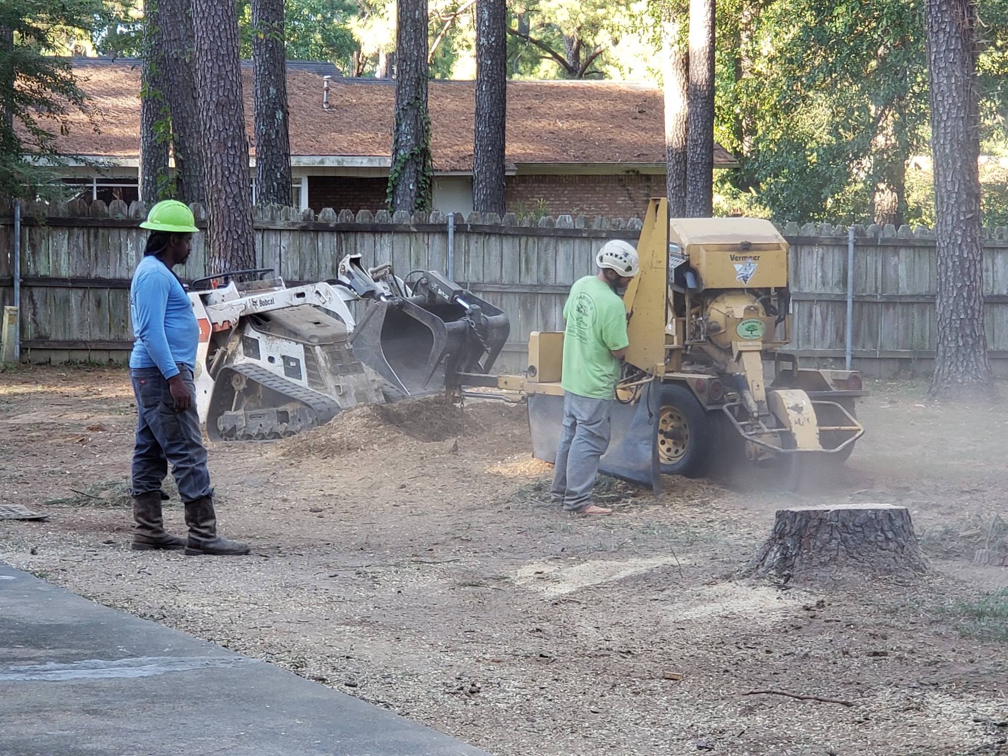 stump grinding