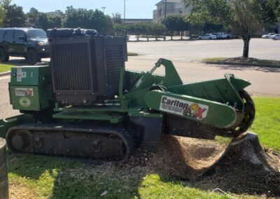 STUMP GRINDER - Barone's Tree Pros