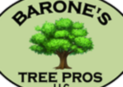 cropped baronest logo - Barone's Tree Pros