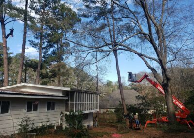 dangeroustreeremovalbrandonms - Barone's Tree Pros