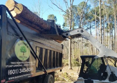 debriscleanupbrandonms 2 - Barone's Tree Pros