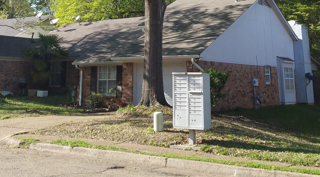 Can Tree Roots Damage Your Home’s Foundation?