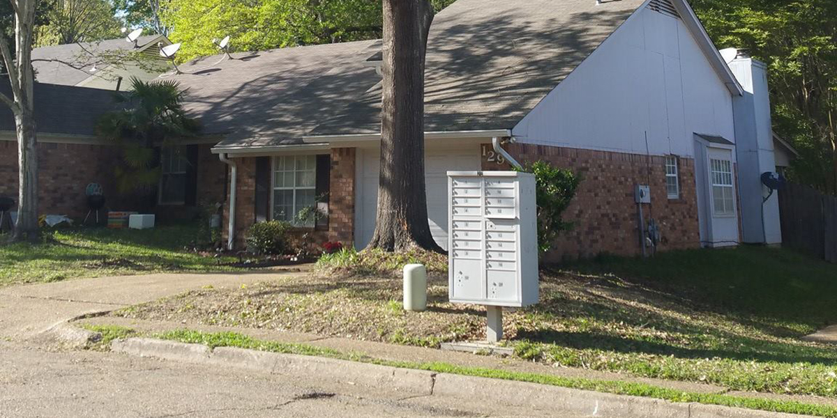 do tree roots damage foundations​