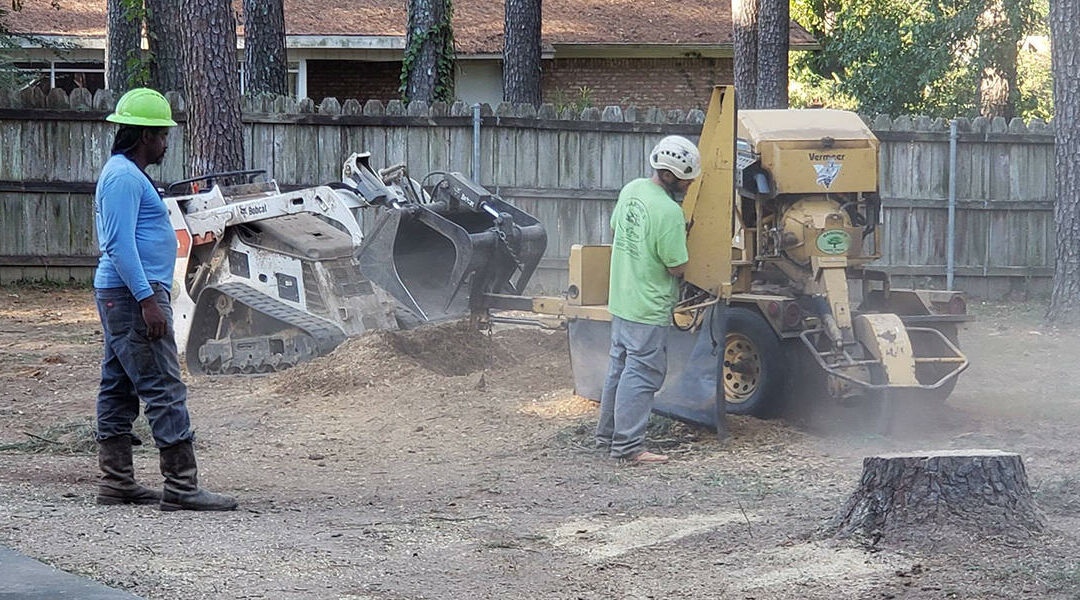 How Long Does Stump Grinding Take?