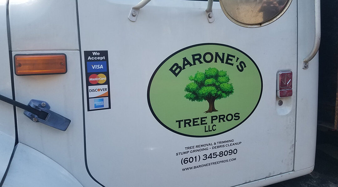 5 Benefits of Professional Tree Care Services