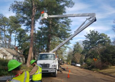 treepruningbrandonms - Barone's Tree Pros