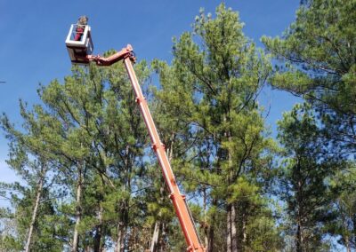 treeserviceraymondms - Barone's Tree Pros